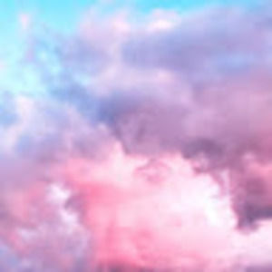 Meet your Posher, Chloe